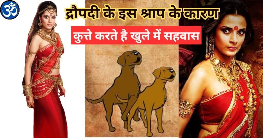 Due to this curse of Draupadi dogs do coitus in the open